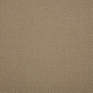 Sunbrella Fabric 44285-0003 Action Taupe