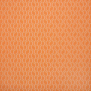 Sunbrella Fabric 69010-0003 Adaptation Apricot