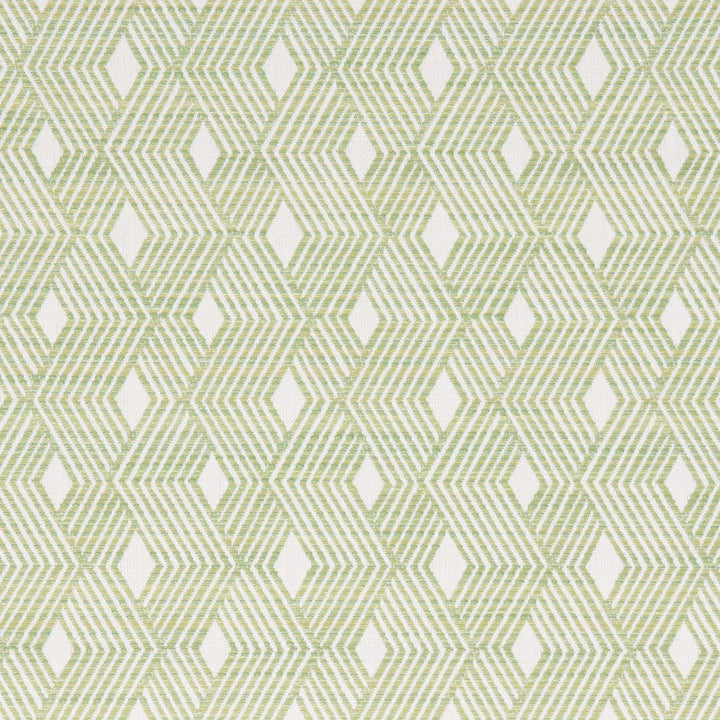 Alcado Meadow by Bella-Dura Designer Fabric  100% HIGH UV POLYESTER USA 70,000 H: 2.125" V: 2.5" 55.25"  - Swanky Fabrics -