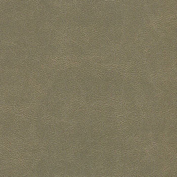 Alchemy Nine Iron ALC-517 by CGPC Designer Fabric See sample 100% Vinyl USA or Imported Water-based cleaning agents and foam may be used for cleaning. Cleaning by a professional cleaning service is recommended.  54  - Swanky Fabrics -