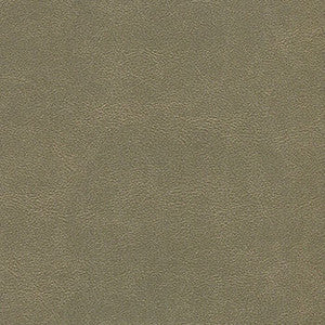 Enduratex Fabric Alchemy Nine Iron