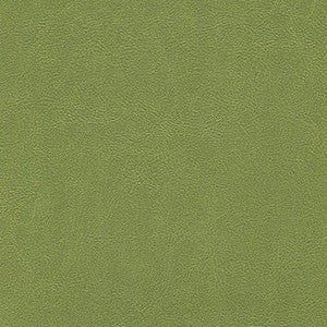 Enduratex Fabric Alchemy Posh Peridot