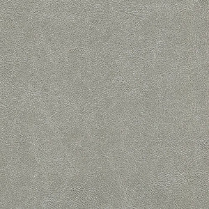 Enduratex Fabric Alchemy Silver Smith