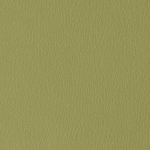Naugahyde Fabric All American Sage