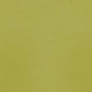 Morbern Fabric Allante Parrot