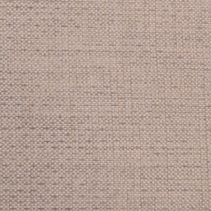 Allegro Ostrich by Europatex Designer Fabric Allegro 100% Polyester 0.00" 54.00 inches - Swanky Fabrics -