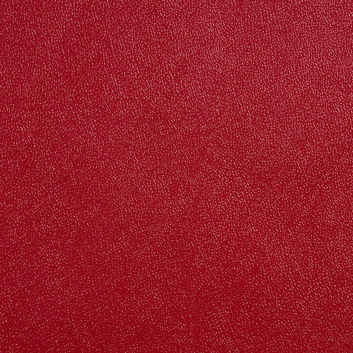 Allsport-Aztec Aztec by Charlotte Designer Fabric Allsport 100% 37oz. Virgin Vinyl Asia Exceeds 100,000 Wyzenbeek Rubs (Heavy Duty) No Repeat 54 Inches - Swanky Fabrics -