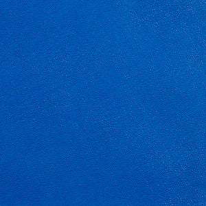 Charlotte Fabric Allsport-Royal Royal