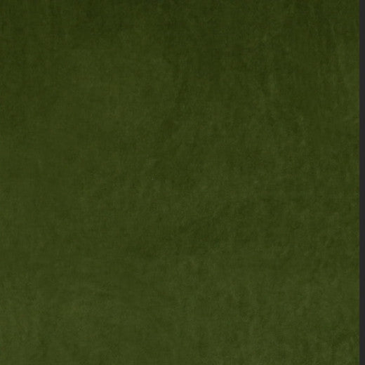 Ashwan - Grass by Europatex Designer Fabric Ashwan 100% Polyester China See Sample Horizontal: N/A and Vertical: N/A 58.00 inches  - Swanky Fabrics -