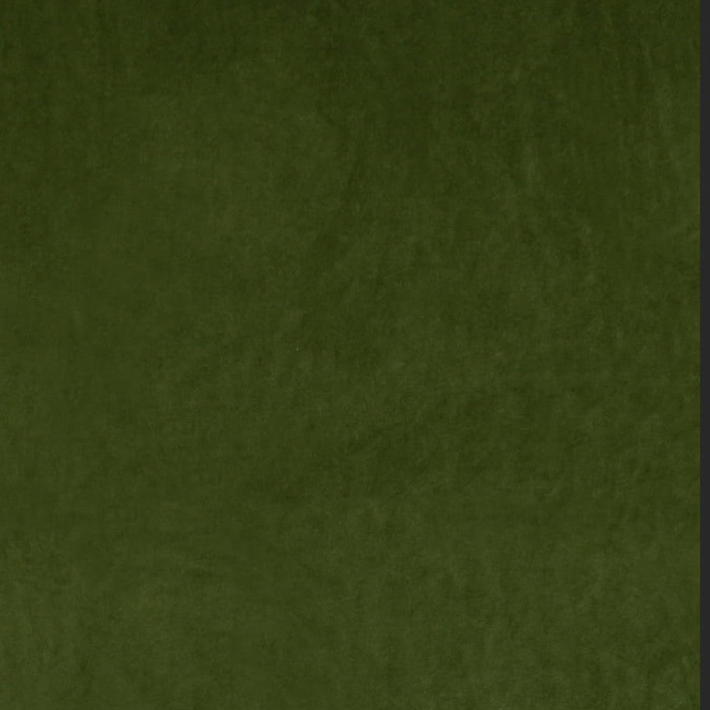 Ashwan Grass by Europatex Designer Fabric Ashwan 100% Polyester 0.00" 58.00 inches - Swanky Fabrics -