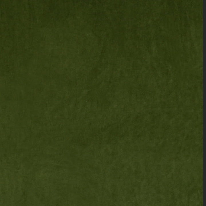 Ashwan Grass by Europatex Designer Fabric Ashwan 100% Polyester 0.00" 58.00 inches - Swanky Fabrics -