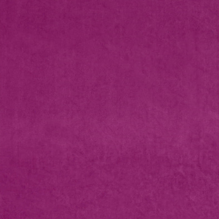Ashwan Magenta by Europatex Designer Fabric Ashwan 100% Polyester 0.00" 58.00 inches - Swanky Fabrics -