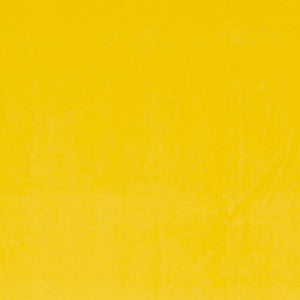 Europatex Fabric Ashwan Mango