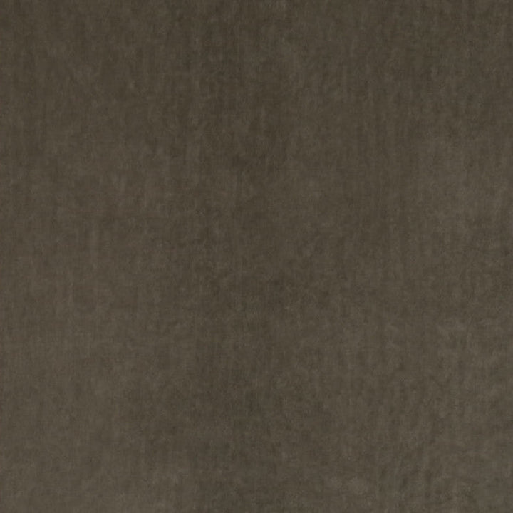 Ashwan Slate by Europatex Designer Fabric Ashwan 100% Polyester 0.00" 58.00 inches - Swanky Fabrics -