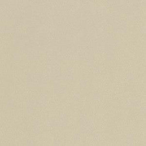 Spradling Fabric Atmosphere Champagne