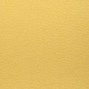 Nassimi Fabric Aura Buttercup