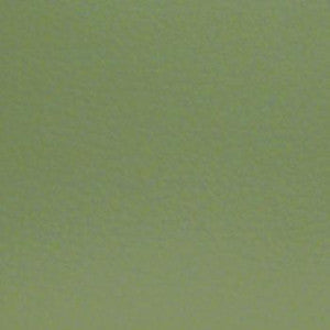 Nassimi Fabric Aura Grass