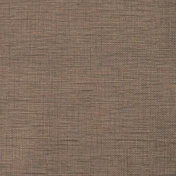Austen Robusto WAN-015 by Nassimi Designer Fabric See sample 100% Polyurethane USA or Imported Water-based cleaning agents and foam may be used for cleaning. Cleaning by a professional cleaning service is recommended.  54  - Swanky Fabrics -