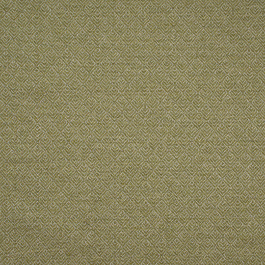 Aztec Paladin - Lime by Europatex Designer Fabric Aztec 82% Polyester, 18% Cotton China See Sample Horizontal: N/A and Vertical: N/A 54.00 inches  - Swanky Fabrics -