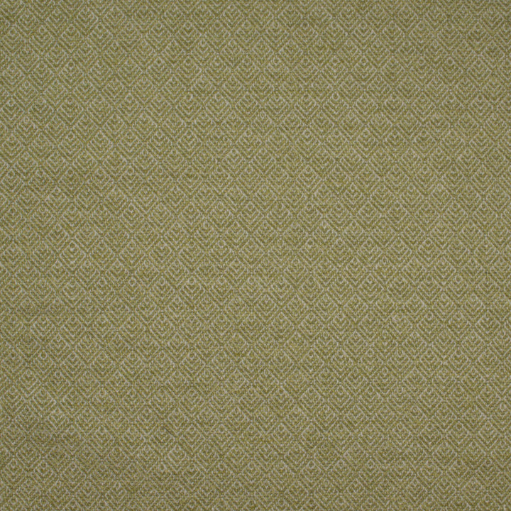 Aztec Paladin Lime by Europatex Designer Fabric Aztec 82% Polyester, 18% Cotton 0.85" H, 1.07" V 54.00 inches - Swanky Fabrics -