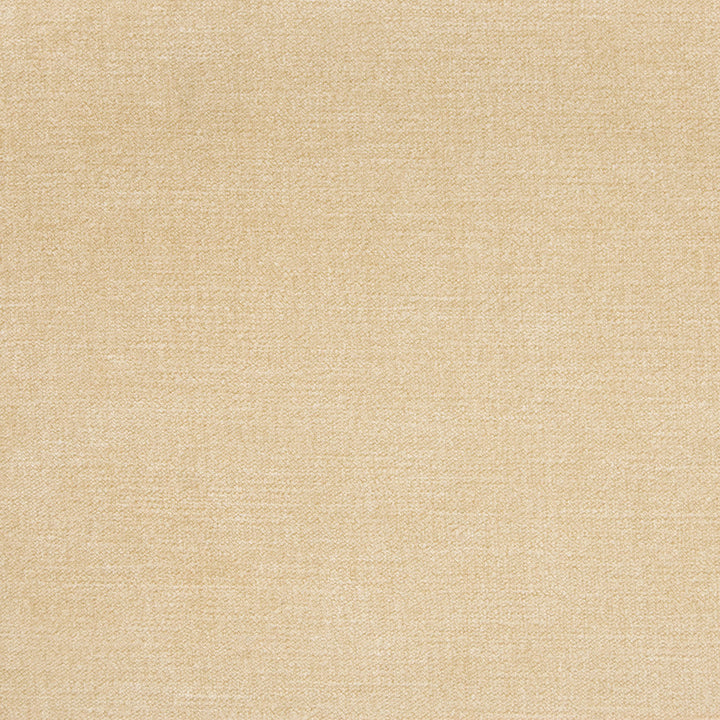 B1253 Sand by Greenhouse Designer Fabric 90% Polyester, 10% Nylon China 100,000 double rubs </p><p>Repeat: None 58" - Swanky Fabrics -