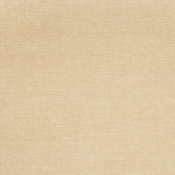 B1253 Sand by Greenhouse Designer Fabric 90% Polyester, 10% Nylon China 100,000 </p><p>Repeat: None 58" - Swanky Fabrics -
