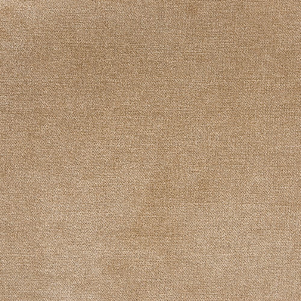 B1255 Taupe by Greenhouse Designer Fabric E99: velvets by COLOR 90% Polyester, 10% Nylon China 100,000 double rubs </p><p>Repeat: None 58" - Swanky Fabrics -