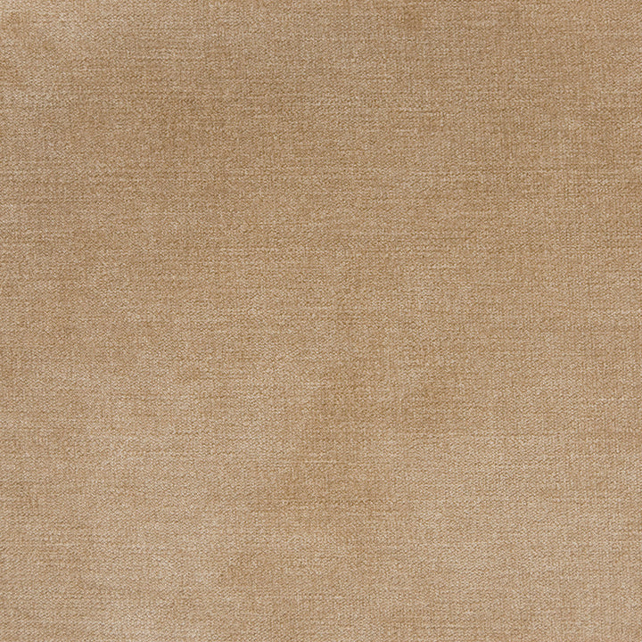 B1255 Taupe by Greenhouse Designer Fabric E99: velvets by COLOR 90% Polyester, 10% Nylon China 100,000 double rubs </p><p>Repeat: None 58" - Swanky Fabrics -