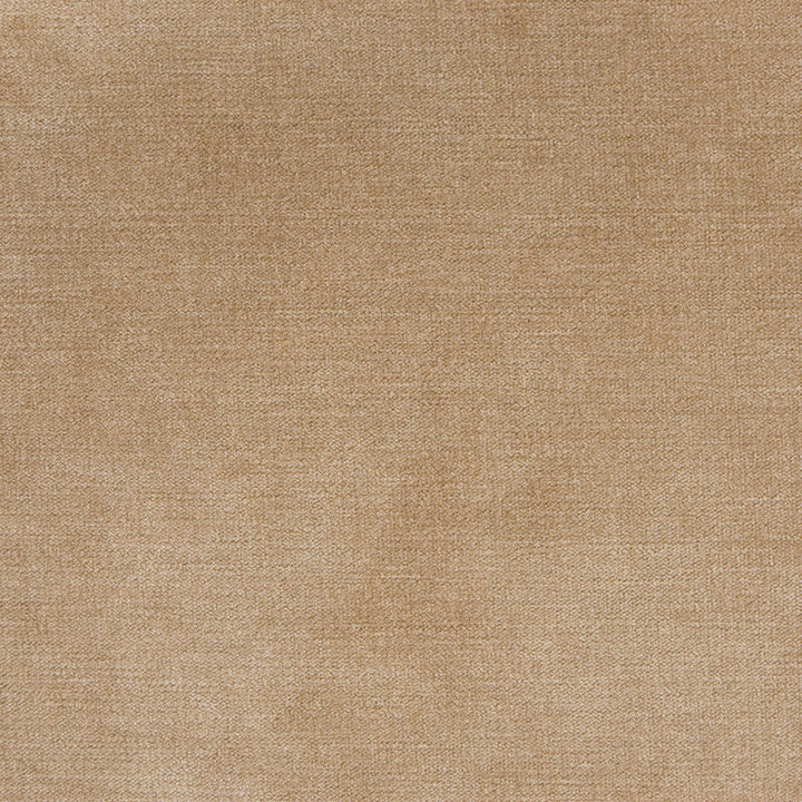 B1255 Taupe by Greenhouse Designer Fabric 90% Polyester, 10% Nylon China 100,000 </p><p>Repeat: None 58" - Swanky Fabrics -