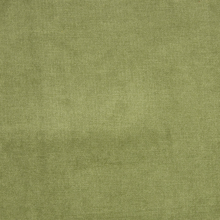 B1272 Fern by Greenhouse Designer Fabric 90% Polyester, 10% Nylon China 100,000 double rubs </p><p>Repeat: None 58" - Swanky Fabrics -