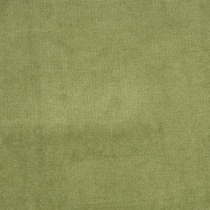 Greenhouse Fabric B1272 Fern
