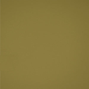 Greenhouse Fabric B2370 Parrot