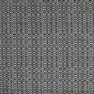 Greenhouse Fabric B4824 Pyrite