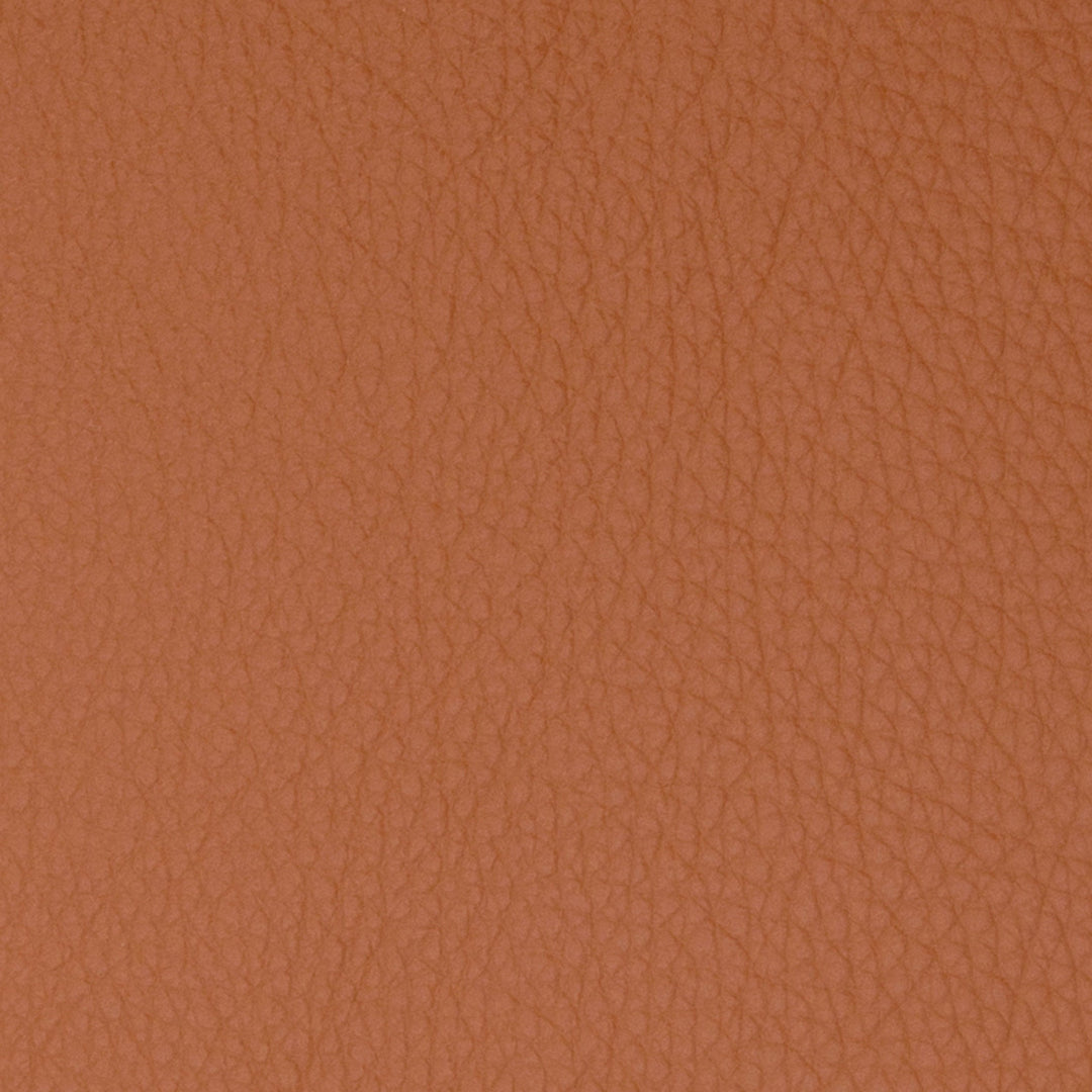 B5096 Brandy by Greenhouse Designer Fabric
