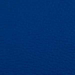 Greenhouse Fabric B5182 Beluga True Blue