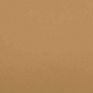 Greenhouse Fabric B5189 Zander Dune