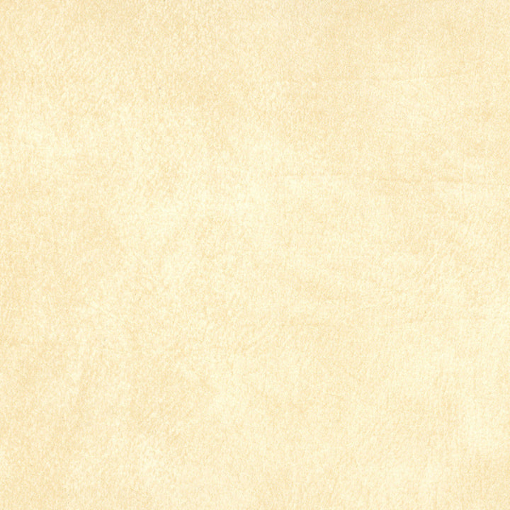 B5194 Allegro Glacier by Greenhouse Designer Fabric 100% Polyester Hi-Loft Backing Weight: 27 Oz/Yard Roll Size: 30 Yards Mildew Resistant Antifungal Uv Stabilized Pigments Cold Crack: -10°F Costa Rica 50,000 double rubs </p><p>Repeat: None 54" - Swanky Fabrics -