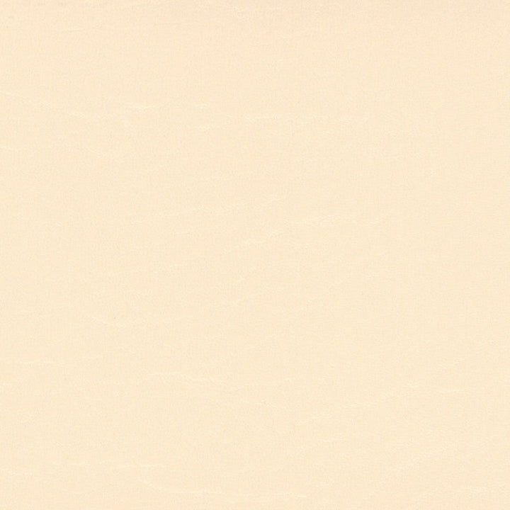 B5227 Heidi Soft Vanilla by Greenhouse Designer Fabric 100% Polyester Hi-Loft Backing Weight: 29 Ounces/Yard Roll Size: 30 Yards Mildew Resistant Uv Stabilized Pigments Cold Crack: -10°F Costa Rica 50,000 double rubs </p><p>Repeat: None 54" - Swanky Fabrics -