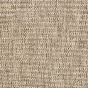 Greenhouse Fabric B5409 Gainsboro