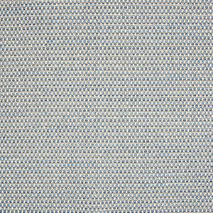 Greenhouse Fabric B5432 Blue
