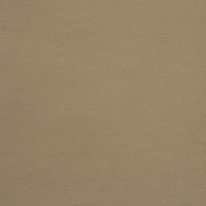 Greenhouse Fabric B5617 Cliff