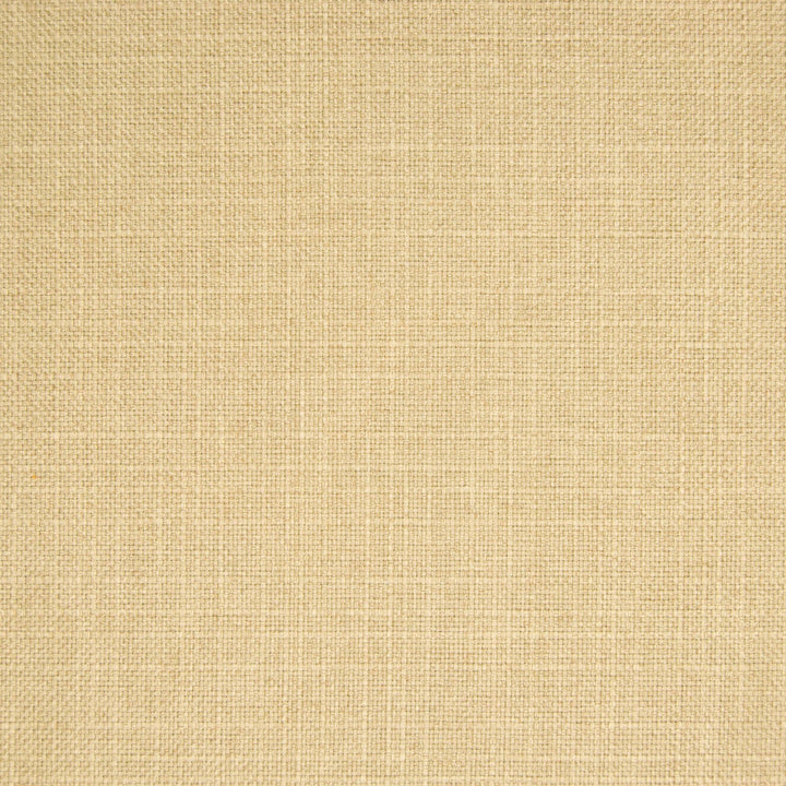 B6793 Straw by Greenhouse Designer Fabric 100% Polyester China 55,000 </p><p>Repeat: None 57" - Swanky Fabrics -