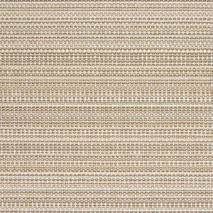 Greenhouse Fabric B6894 Driftwood