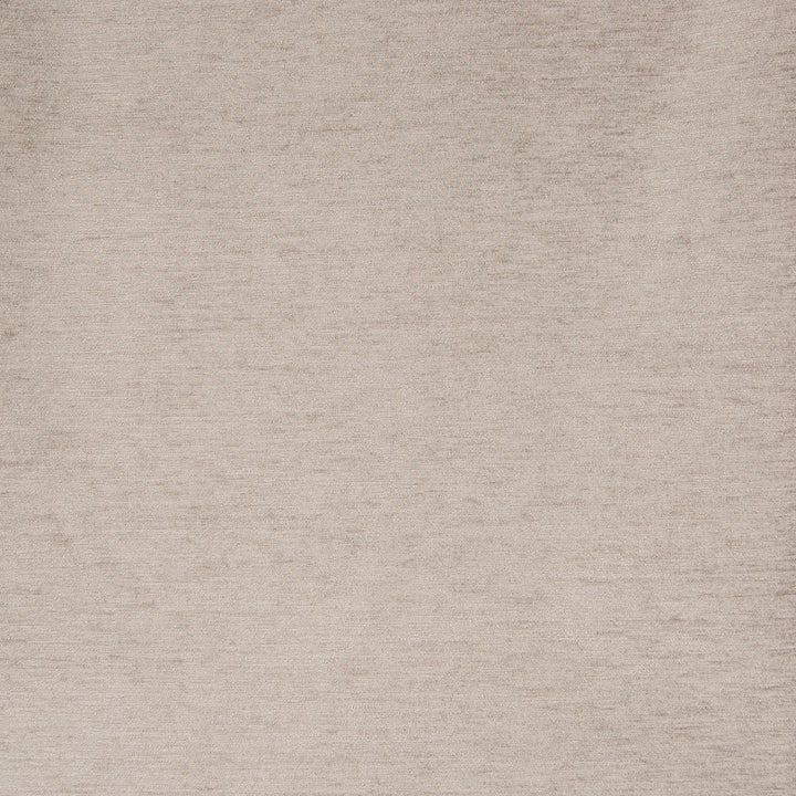 B7526 Pumice by Greenhouse Designer Fabric 65% Polyester, 35% Viscose China 60,000 double rubs </p><p>Repeat: No Definite Repeat 56" - Swanky Fabrics -