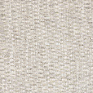 Greenhouse Fabric B7643 Flint