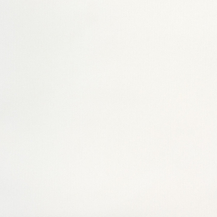 B8484 White by Greenhouse Designer Fabric 88% Polyester, 12% Nylon China 100,000 double rubs </p><p>Repeat: None 54" - Swanky Fabrics -