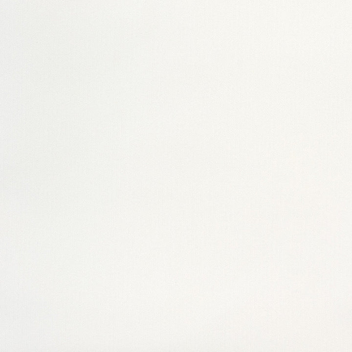 B8484 White by Greenhouse Designer Fabric 88% Polyester, 12% Nylon China 100,000 </p><p>Repeat: None 54" - Swanky Fabrics -