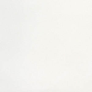 Greenhouse Fabric B8484 White