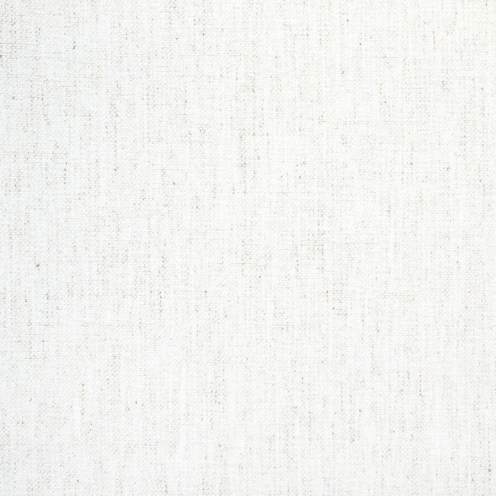 B8489 Snow by Greenhouse Designer Fabric 92% Polyester, 8% Linen China 100,000 double rubs </p><p>Repeat: None 54" - Swanky Fabrics -