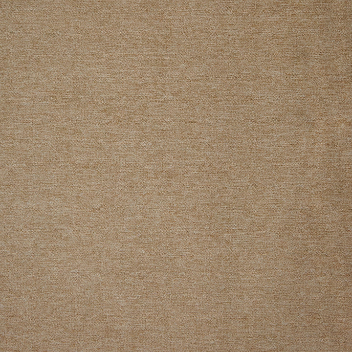 B9740 Sand by Greenhouse Designer Fabric F07: Value Plush 100% Polyester China 105,000 double rubs </p><p>Repeat: None 57" - Swanky Fabrics -